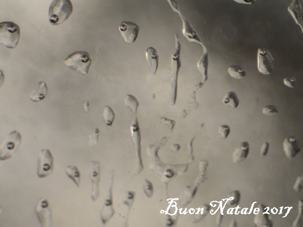 Auguri di Buon Natale